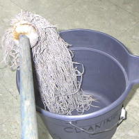 Spray Colloidal Silver in Final Wet Mop Solution